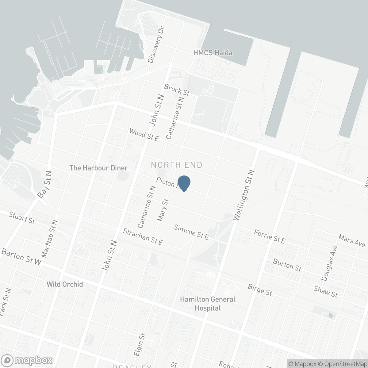 137 PICTON Street E, Hamilton, Ontario L8L 3W7